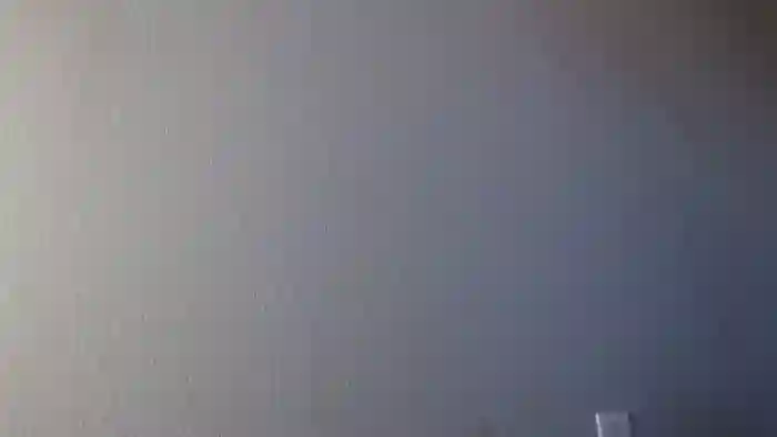 PokeAPuss