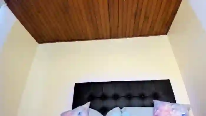 Tiny_Cora