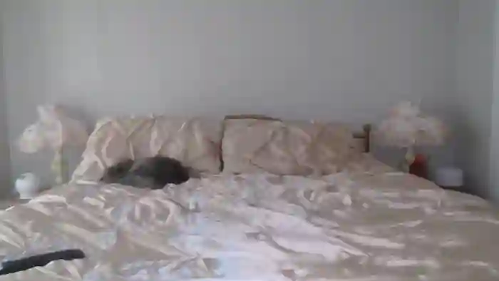 AlexisWildest