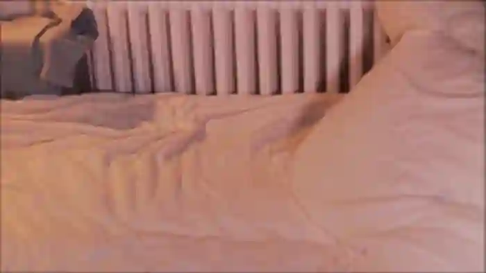 GingerVi