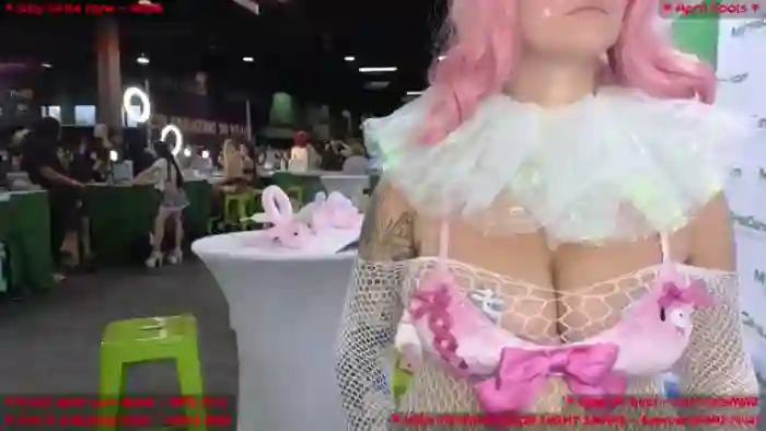 MollyMeowz