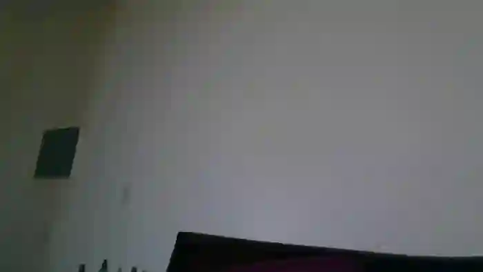 RavenVidVixen