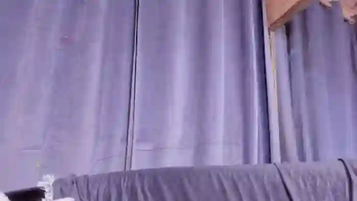Wattsany
