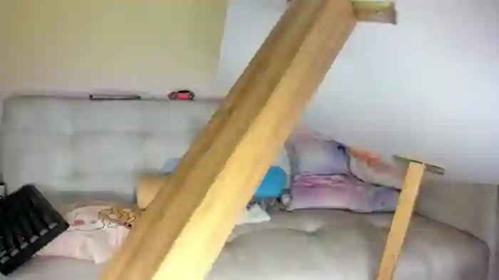Tiny_Cora