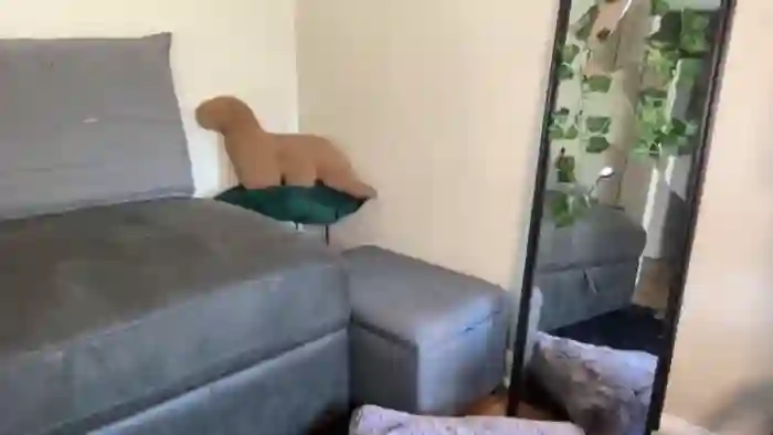 RileyWoods