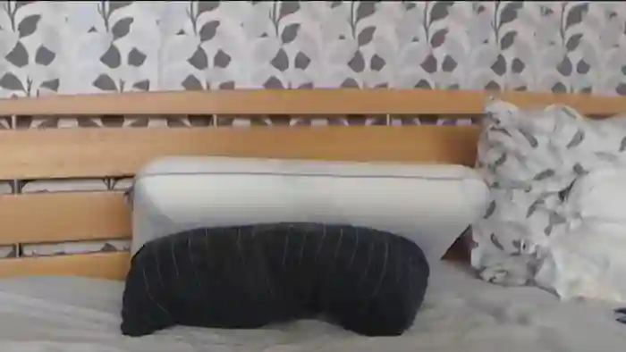 Kelywild