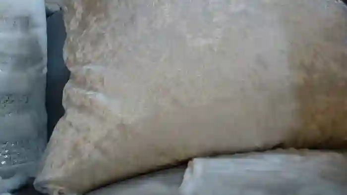 ribonnnu