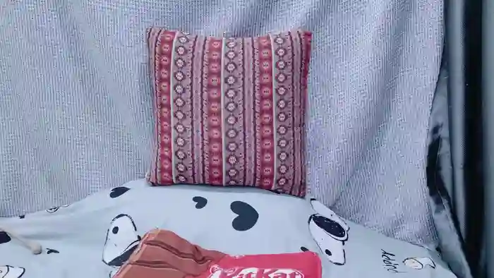 vvvMionvvv