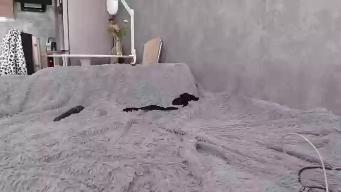 cyberdziwka12
