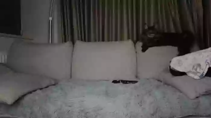 Lily24