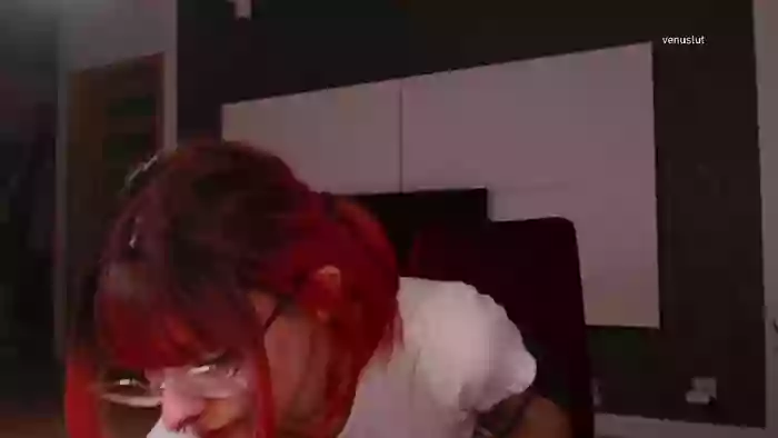venuslut