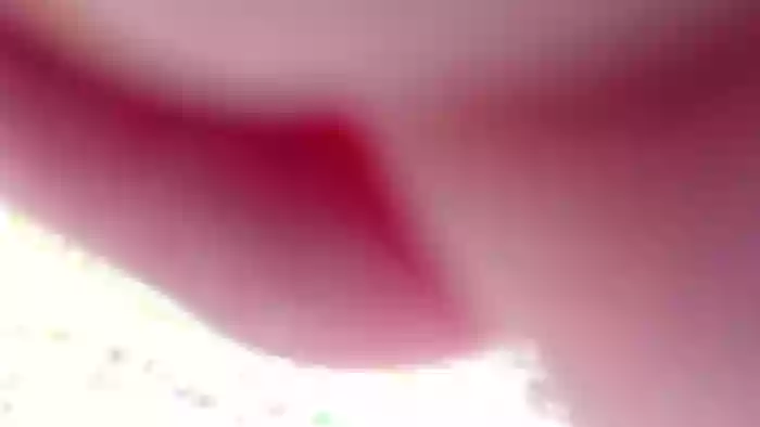 Pako77