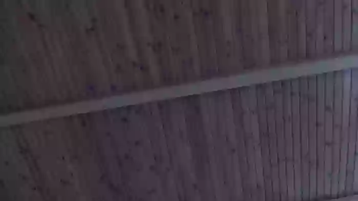 Ulegla_Suka_z_Kumplem