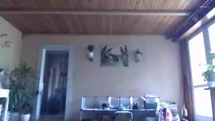 Ulegla_Suka_z_Kumplem