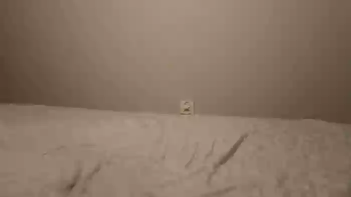 _CURLYPERI__