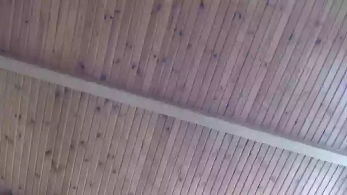 Ulegla_Suka_z_Kumplem