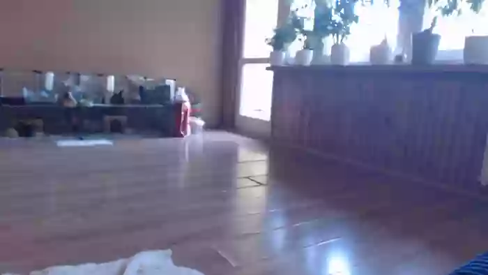 Ulegla_Suka_z_Kumplem