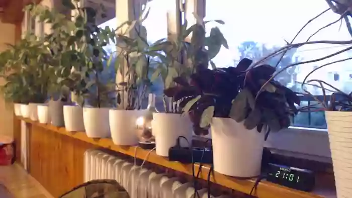 Ulegla_Suka_z_Kumplem