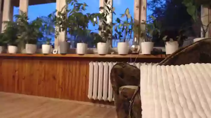 Ulegla_Suka_z_Kumplem