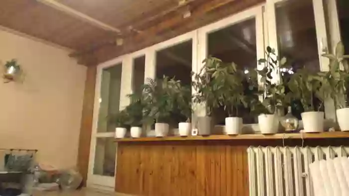 Ulegla_Suka_z_Kumplem