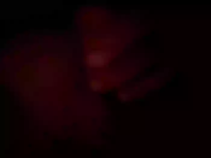 Bigdickfuckyourpussy