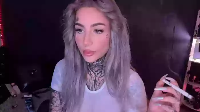 Dollybitch