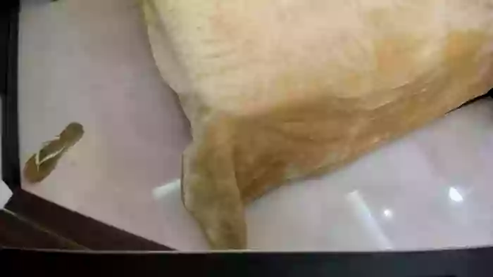 slicznotka_Lilia