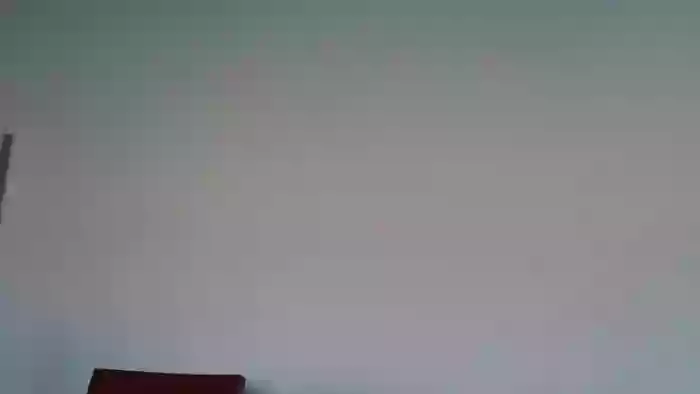 AANIELAA