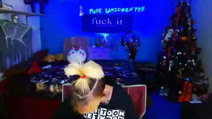 PunkUnicorn