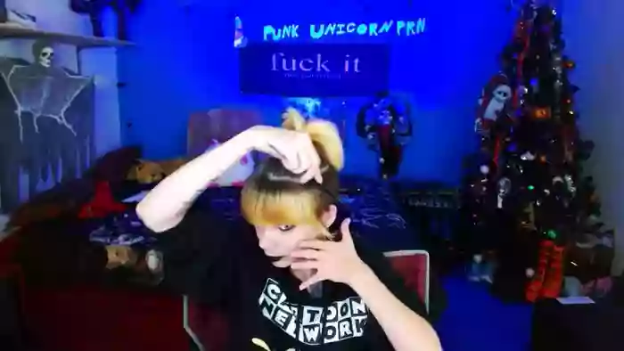 PunkUnicorn