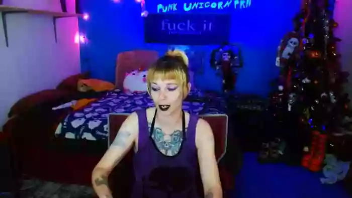 PunkUnicorn