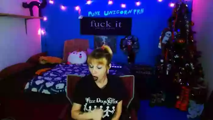 PunkUnicorn