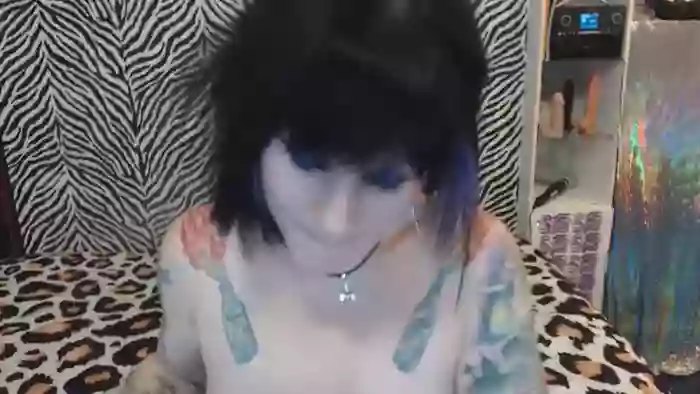 Kitty_Fox