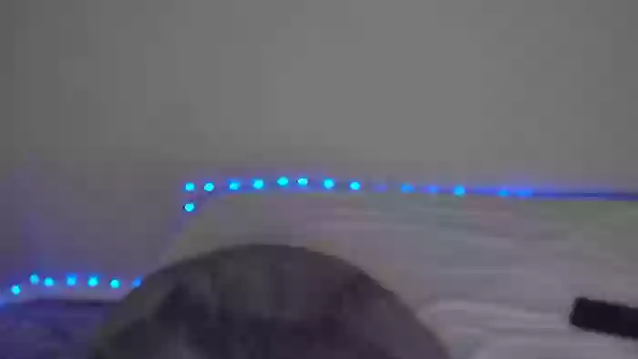 Bella_shine