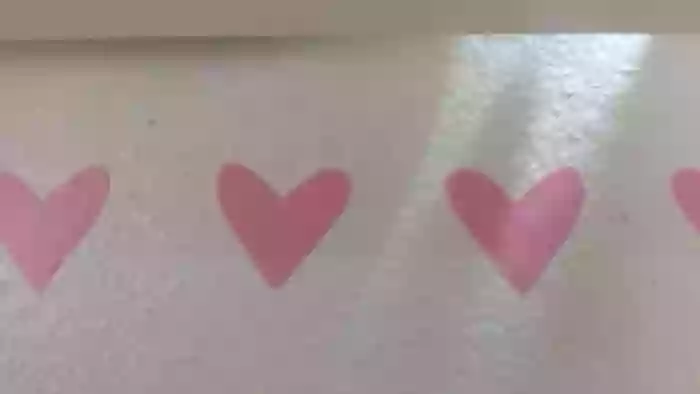 Cassidy_Evans