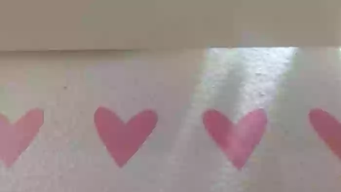 Cassidy_Evans