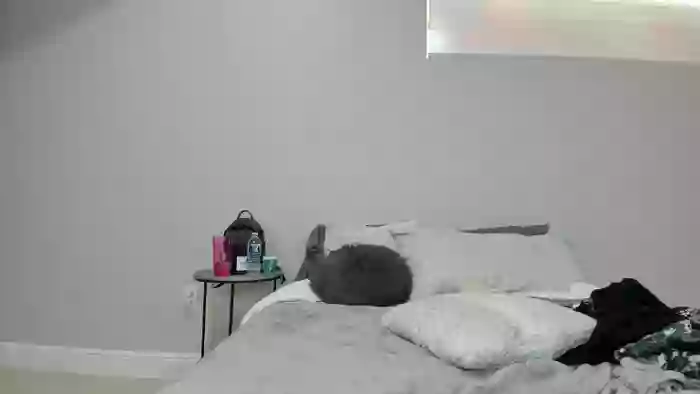 Tiny_Taylor