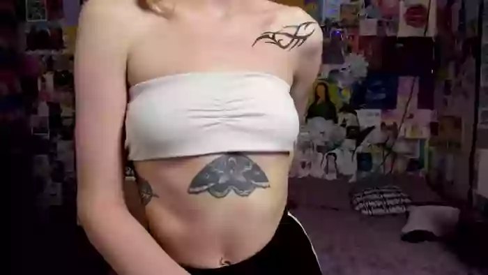 BaabeButterfly
