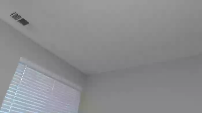 theselenarainx