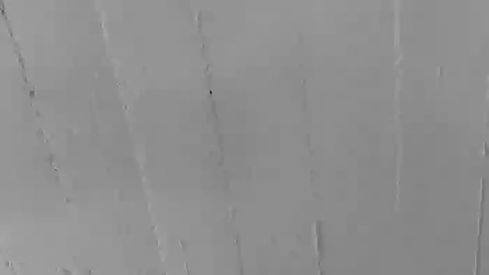 agirlonline