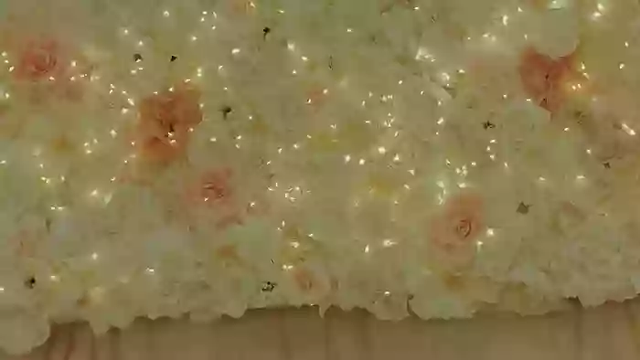 ClassyTina