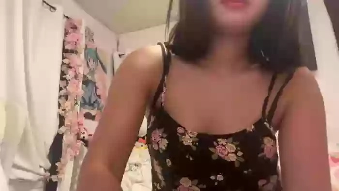 cuteshycat