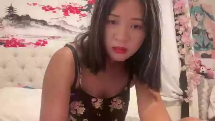 cuteshycat