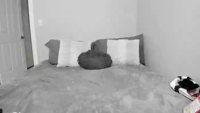 Tiny_Taylor