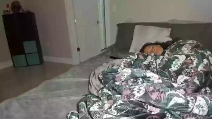 Tiny_Taylor
