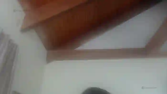 TaylorMarieX