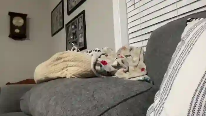 xoSandraTemplexo