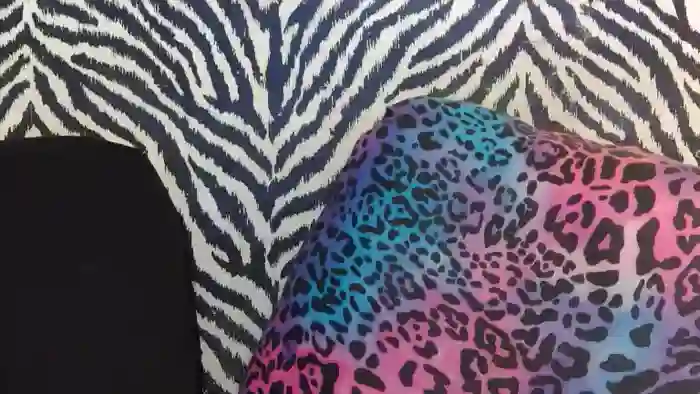 Kitty_Fox
