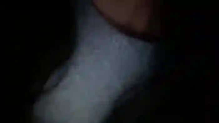 xoSandraTemplexo