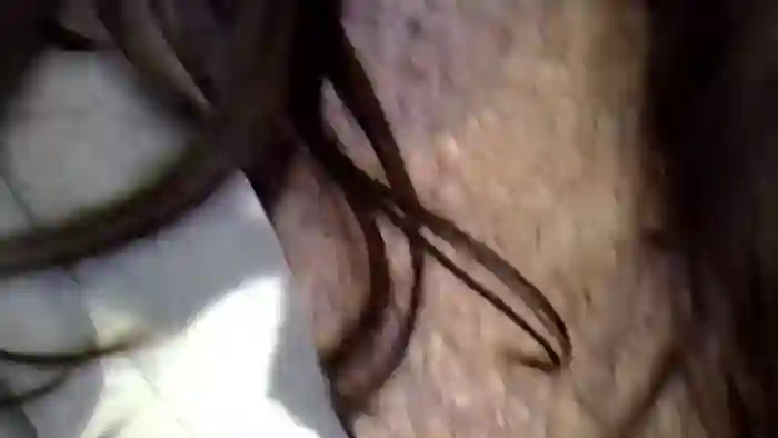 SpecialExcite18